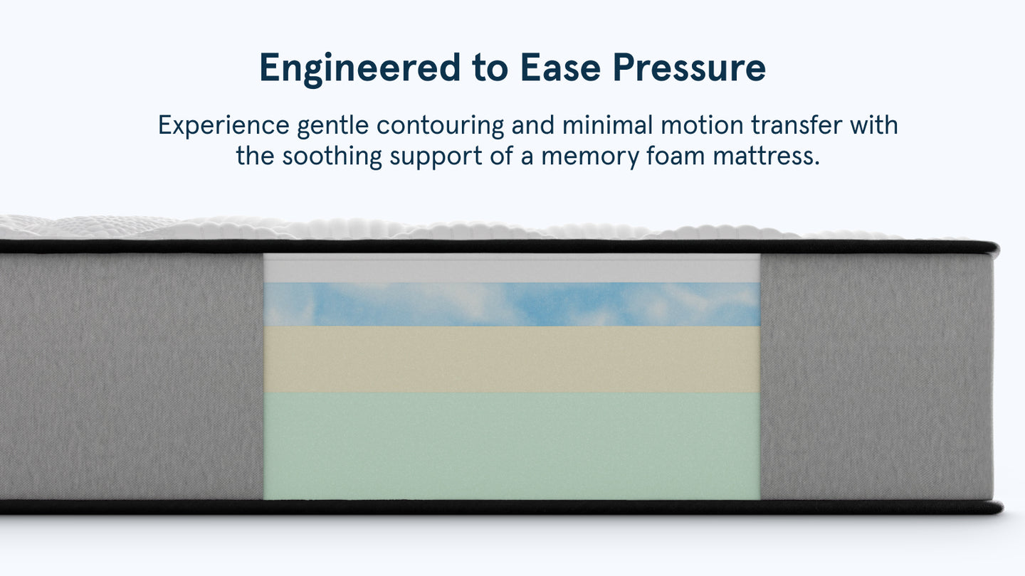 Pro Foam image 6