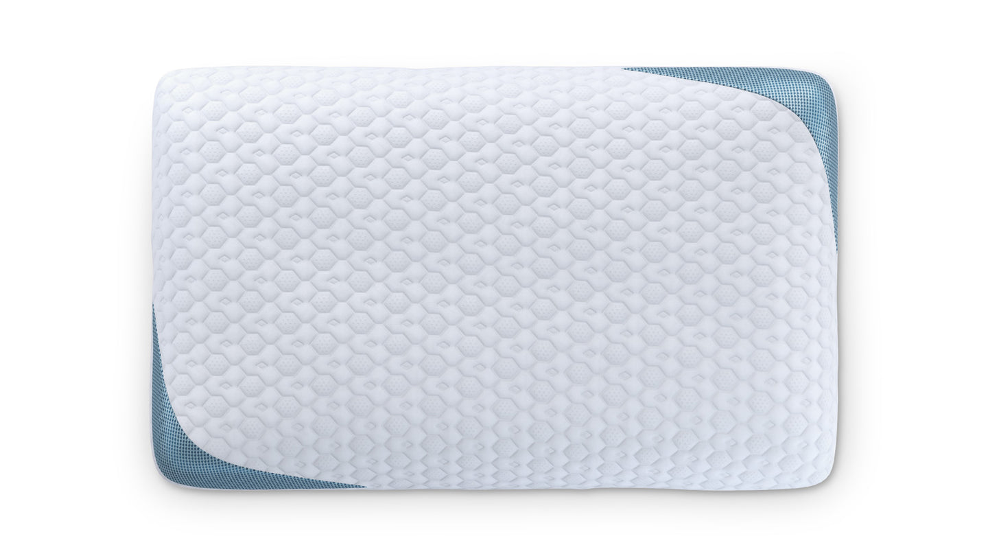 Bear Pillow image 2