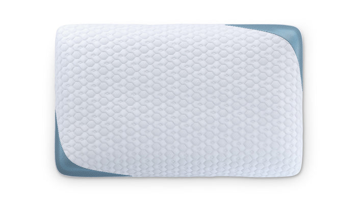 Bear Pillow
