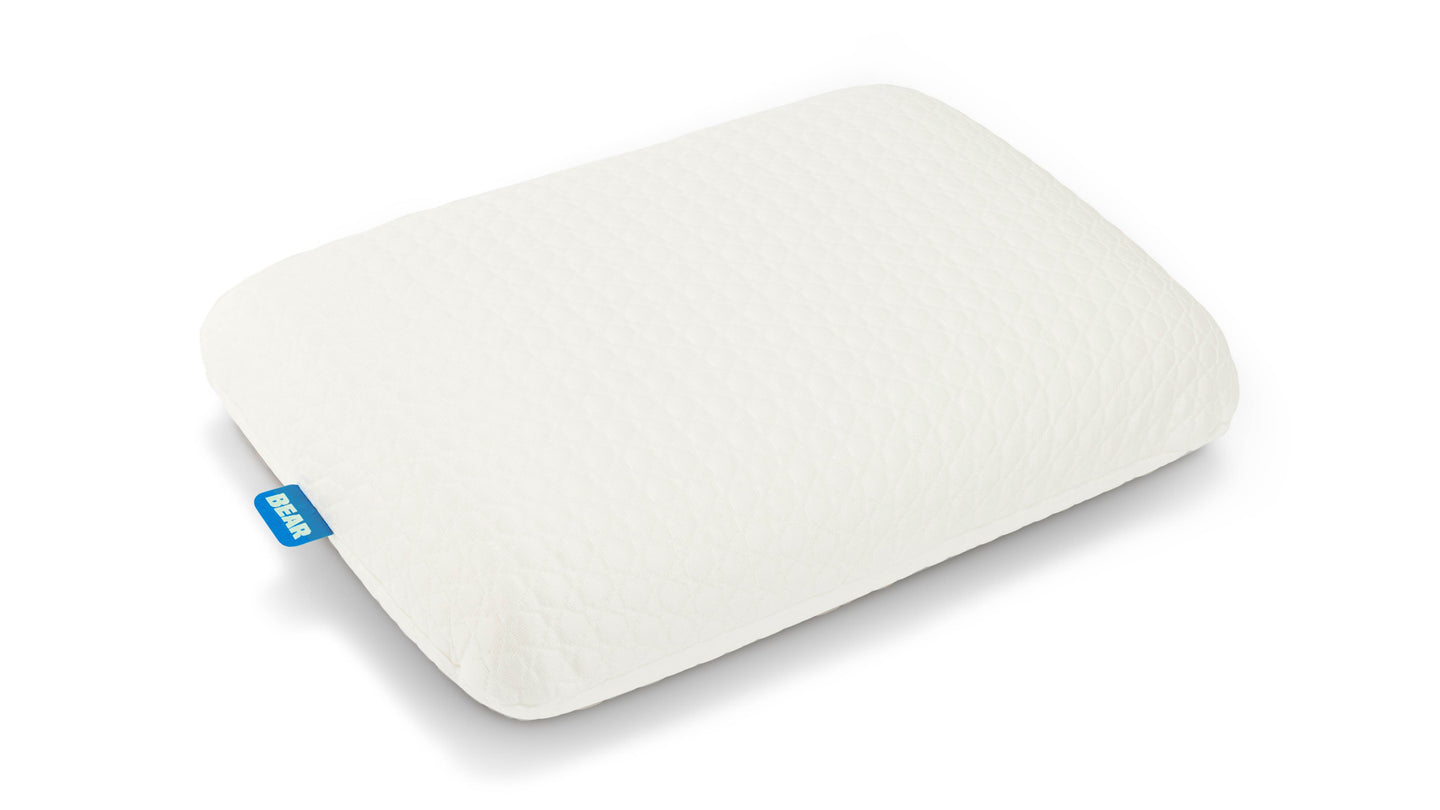 Bear Pillow Pack Bundle image 4