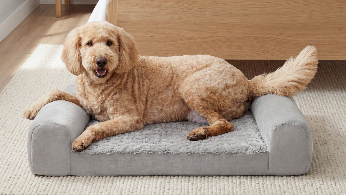 Bear Dog Bed image 2